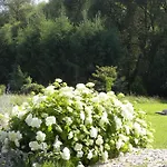 Bed & Breakfast Orlik