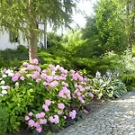 Orlik Bed & Breakfast Barlinek