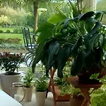 Orlik Bed & Breakfast 4*