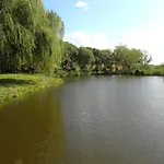 Orlik 4*