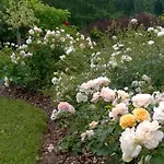 Bed & Breakfast Orlik 4*