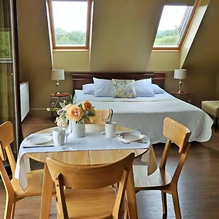 Bed & Breakfast Orlik 3*