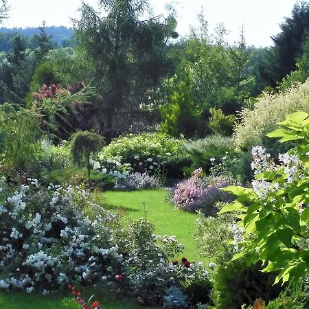 Orlik Couette-café Barlinek