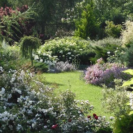 Couette-café Orlik 3*