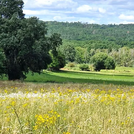 Bed & Breakfast Orlik 3*
