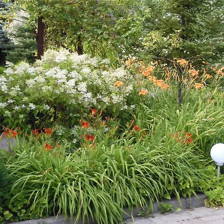 Bed & Breakfast Orlik 3*