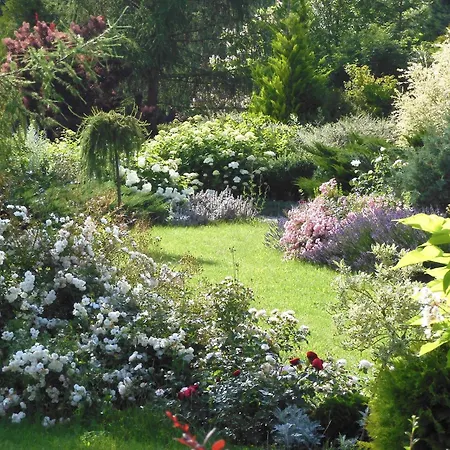 Orlik Bed & Breakfast