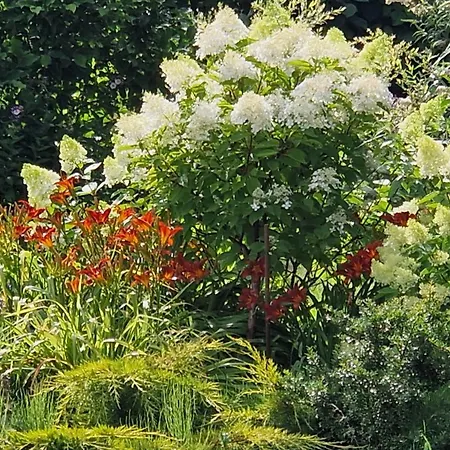 Couette-café Orlik 3*