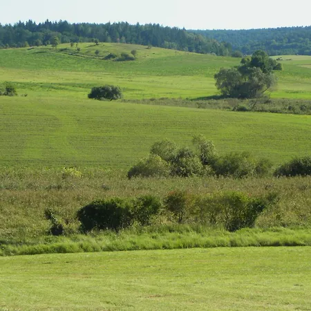 Orlik Barlinek