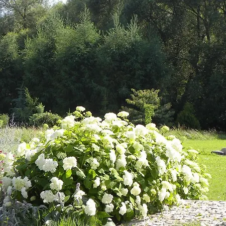 Bed & Breakfast Orlik