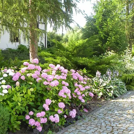 Orlik Bed & Breakfast Barlinek