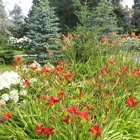 Bed & Breakfast Orlik