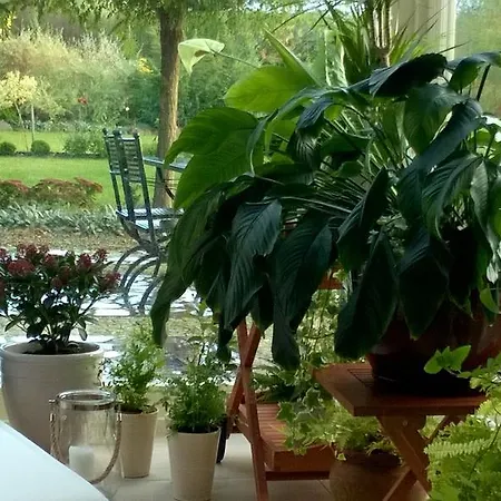 Orlik Couette-café 3*