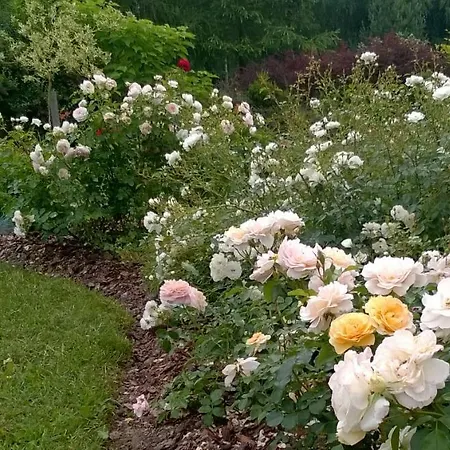 Couette-café Orlik 4*