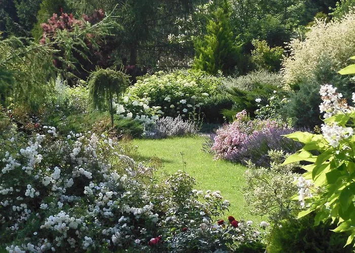 Bed & Breakfast Orlik 3*