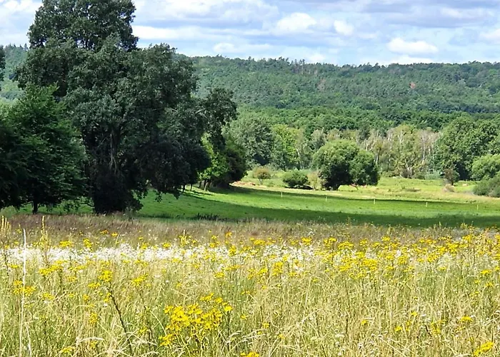 Bed & Breakfast Orlik 3*