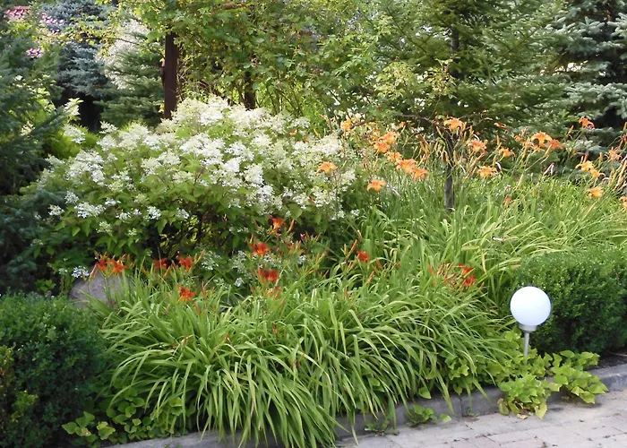 Bed & Breakfast Orlik 3*