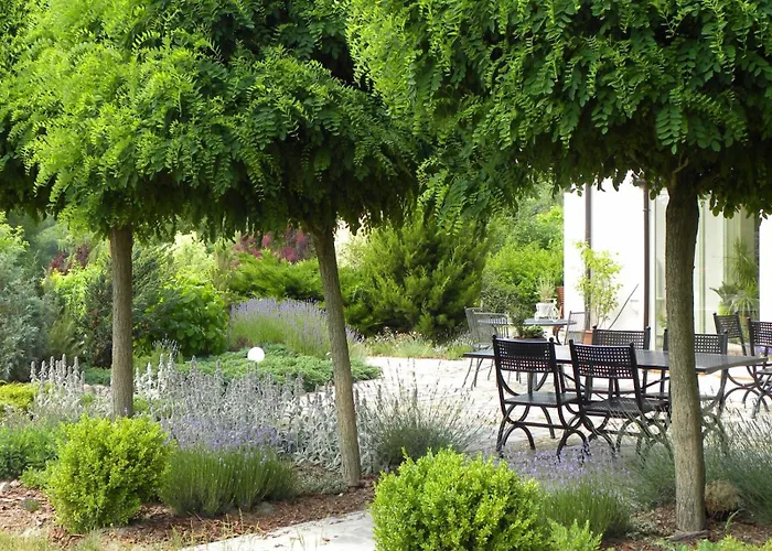 Orlik バルリネク