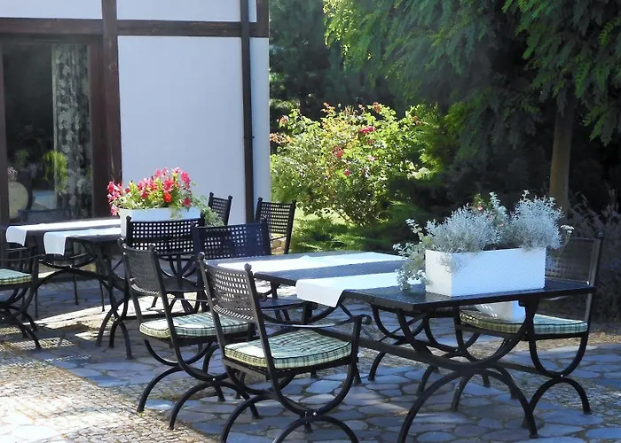 Orlik 3* バルリネク