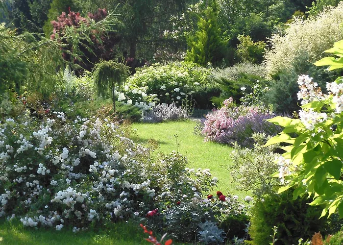 Orlik Bed & Breakfast