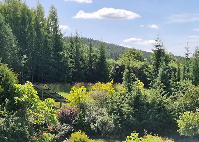 Bed & Breakfast Orlik Barlinek