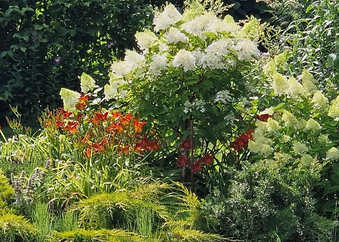 Bed & Breakfast Orlik 3*