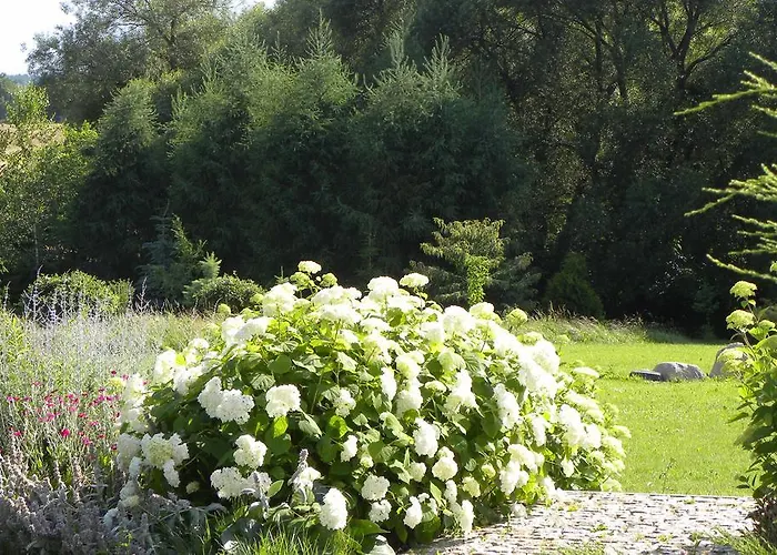 Bed & Breakfast Orlik