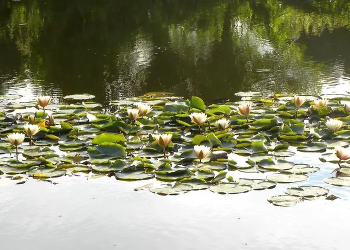 Bed & Breakfast Orlik