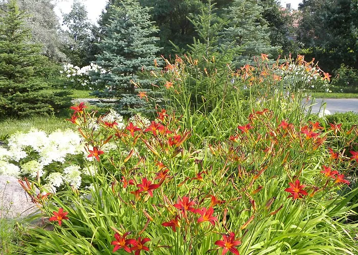 Bed & Breakfast Orlik