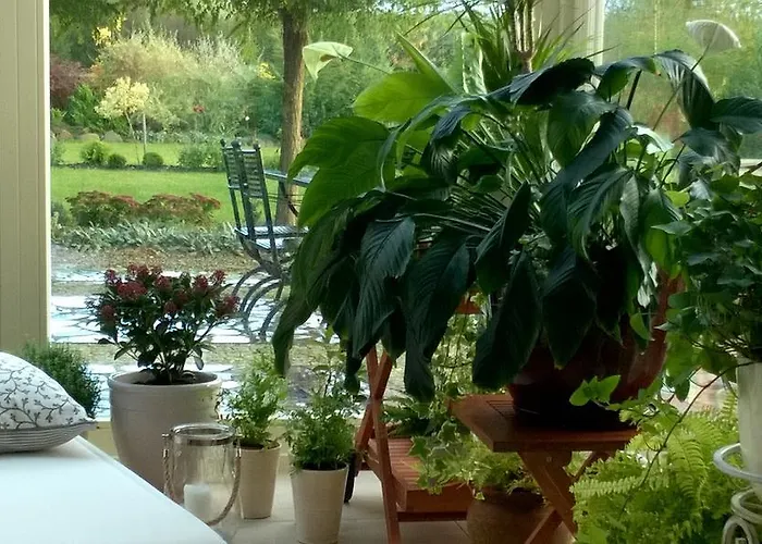 Orlik Bed & Breakfast 3*