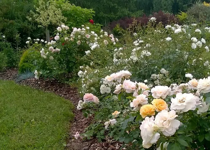 Bed & Breakfast Orlik 3*